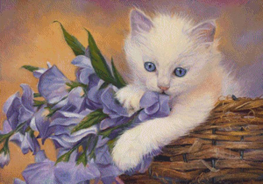 очаровашка - котята - предпросмотр