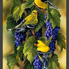 Схема вышивки «птички и виноград»