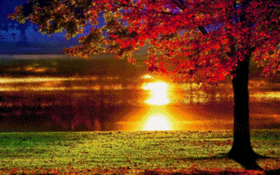 закат - река, закат, дерево - предпросмотр