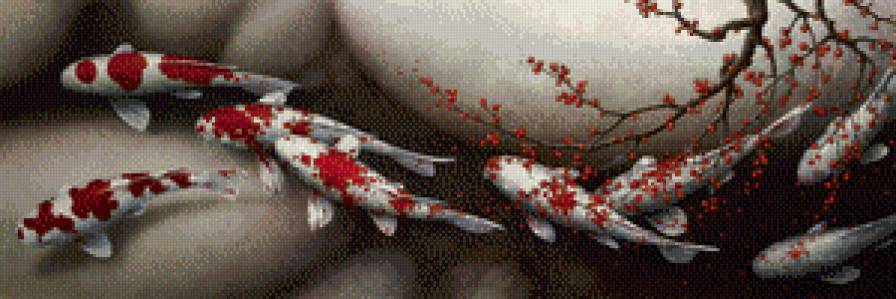 Карпы и сакура. - сакура, процветание, феншуй, кои, карпы - предпросмотр