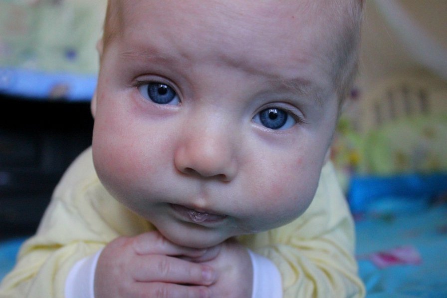 Мишутка - оригинал