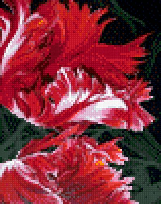 тюльпанчик - маленькая, букет, цветы - предпросмотр