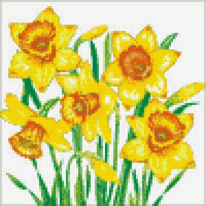 Нарцис - букет, маленькая, цветы - предпросмотр