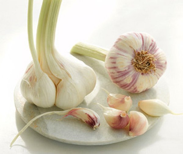 Серия овощи - овощи, чеснок - оригинал