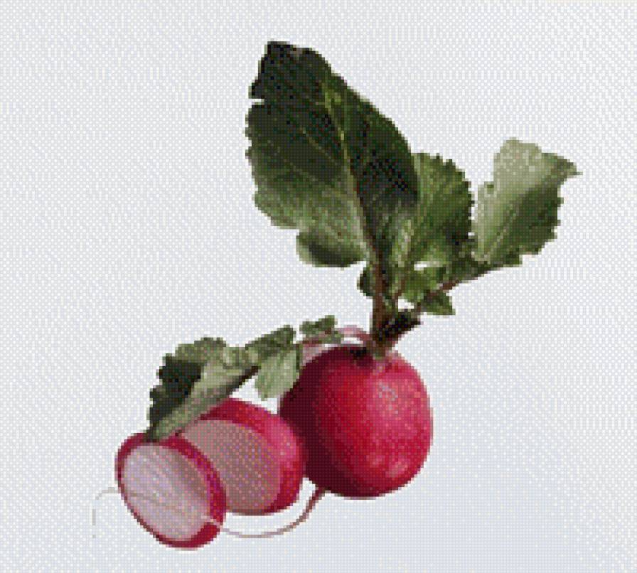 Серия Овощи - овощи, редис - предпросмотр