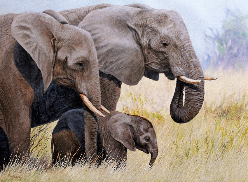 Слоны - слоны, африка - оригинал