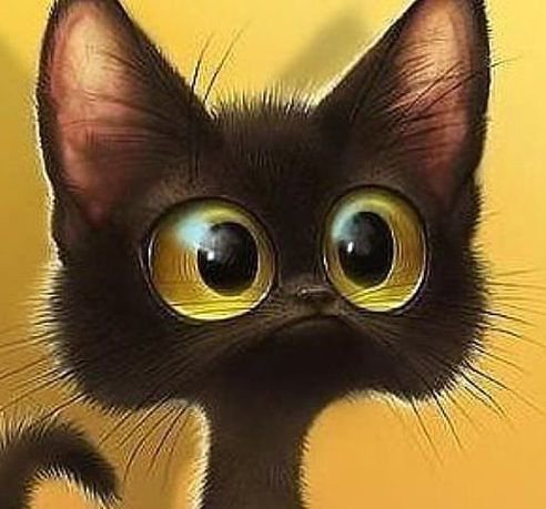 котик - животные, кот - оригинал