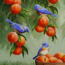 птицы на персиковом дереве