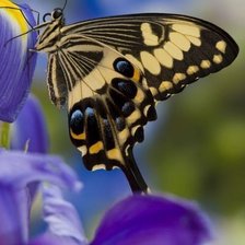 Схема вышивки «№959107»