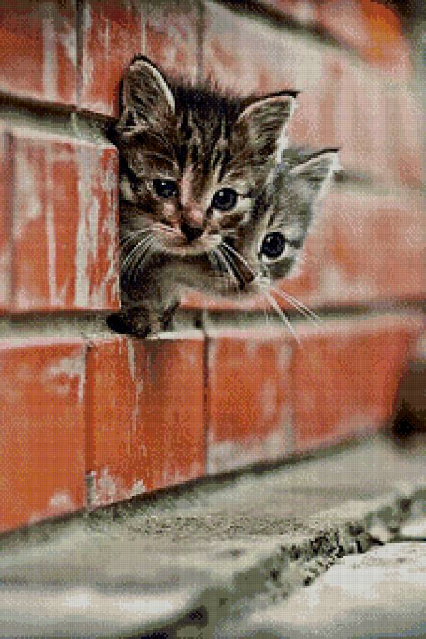 как интересно! - фауна - предпросмотр