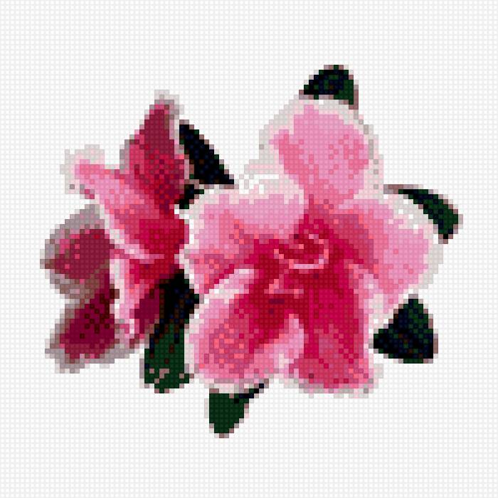 цветок - предпросмотр