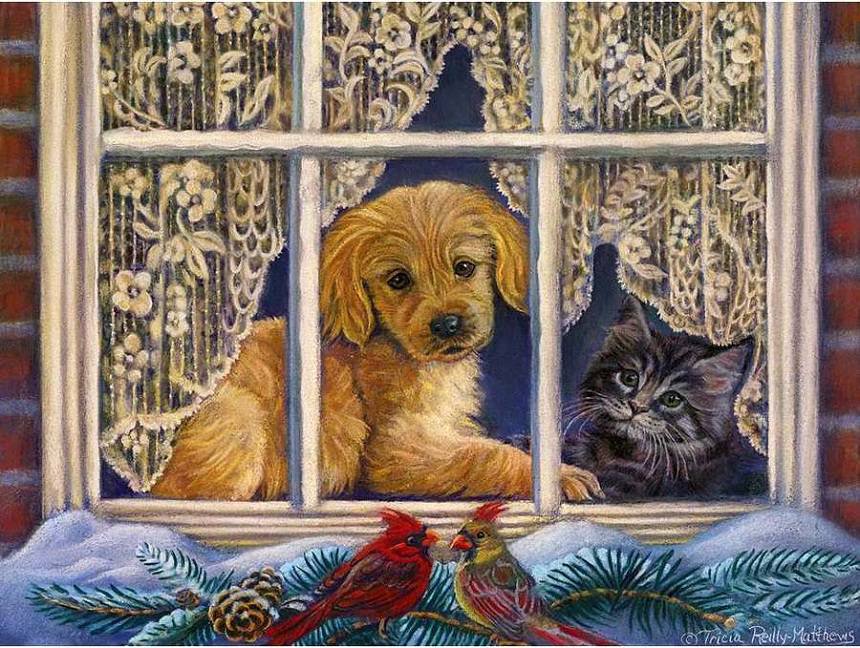 у окна - анимализм, собака, кошка - оригинал