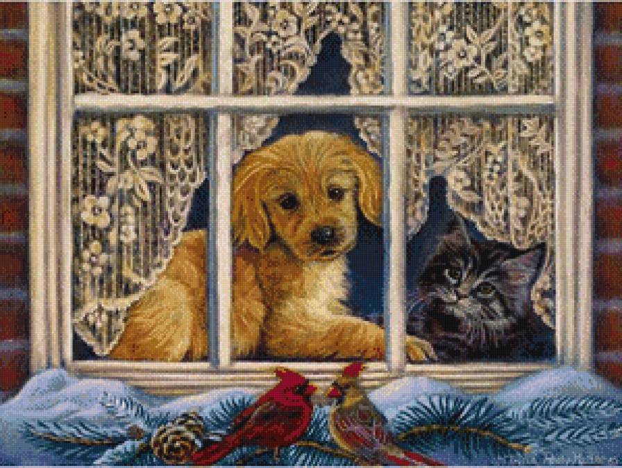 у окна - собака, кошка, анимализм - предпросмотр