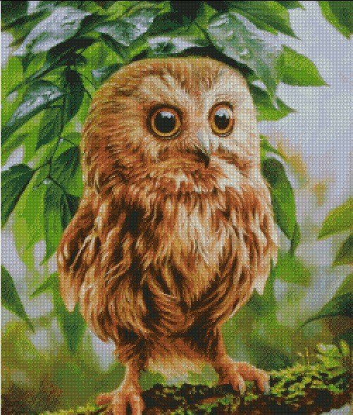 №959858 - птицы - оригинал