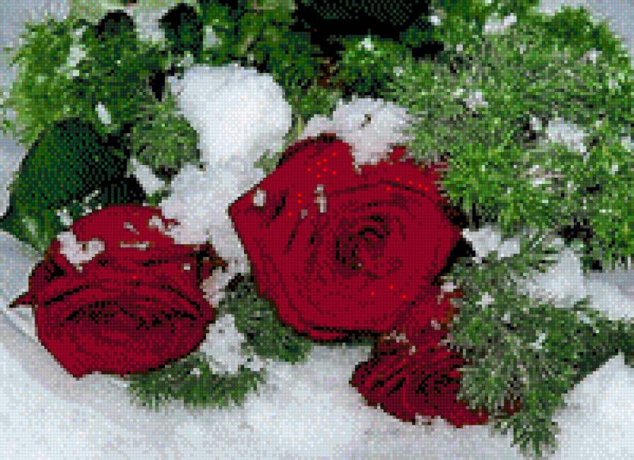 розы в снегу - цветы - предпросмотр