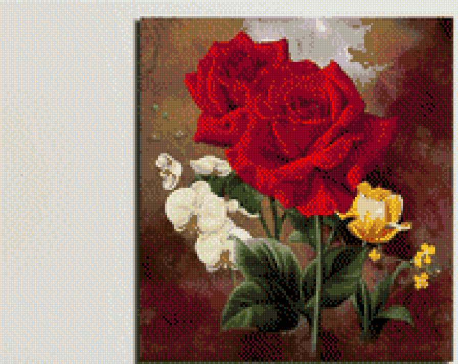 розы - цветы - предпросмотр