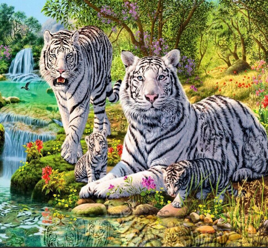 тигриная семья - животные - оригинал