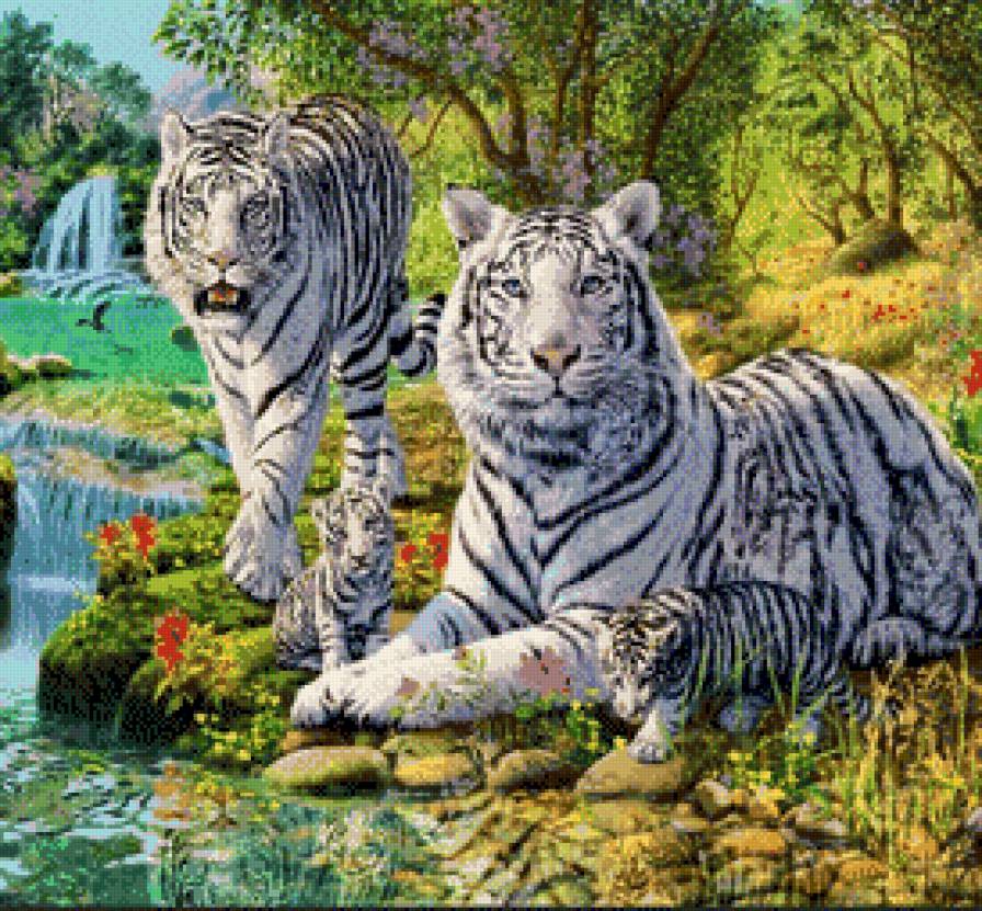 тигриная семья - животные - предпросмотр