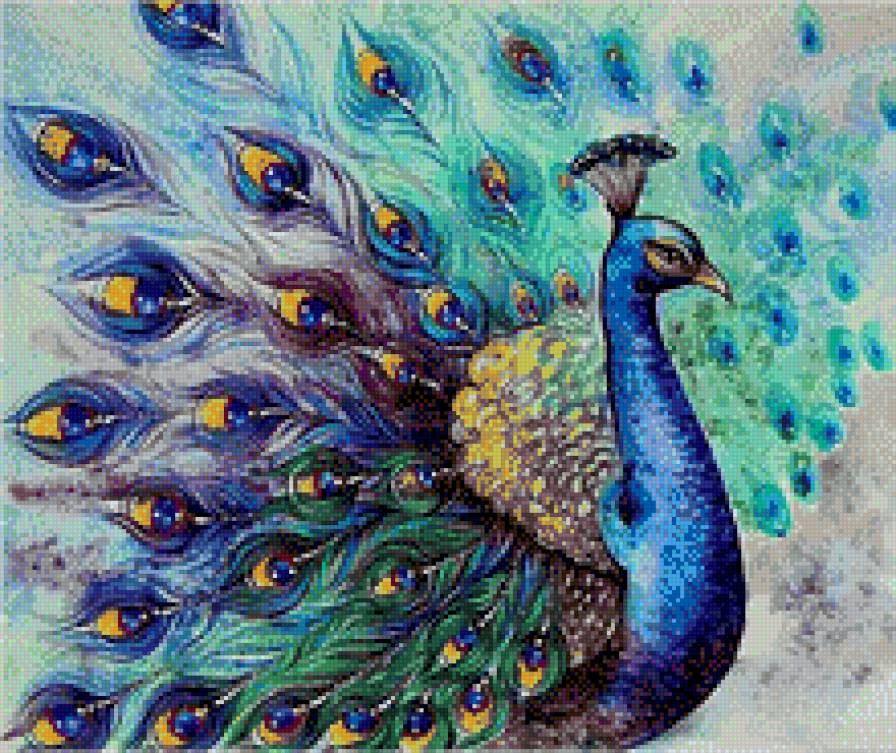 павлин - птицы - предпросмотр