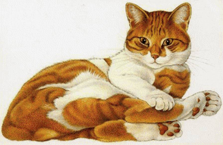 Серия "Домашние любимцы" - полосатик, рыжик, котик, красавец, кот - предпросмотр