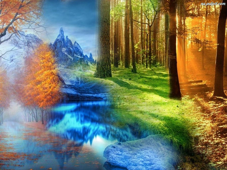 №960461 - оригинал