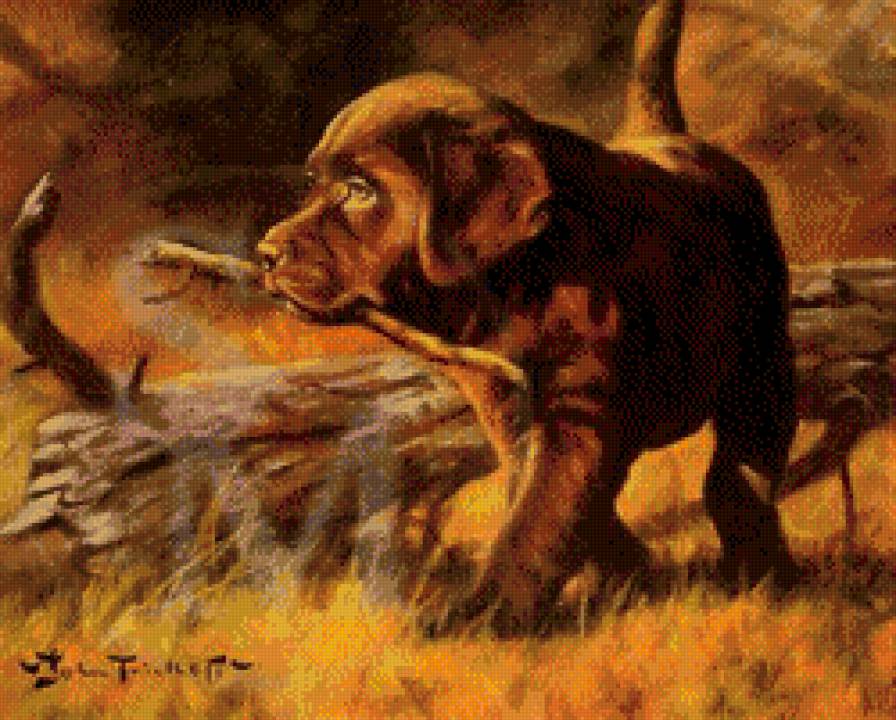 Четвероногий друг - животные - предпросмотр