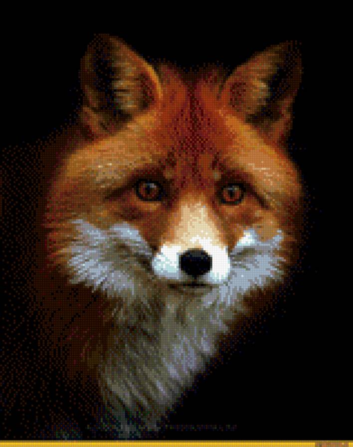 Лисица - лисица, хищник, лиса, животное - предпросмотр