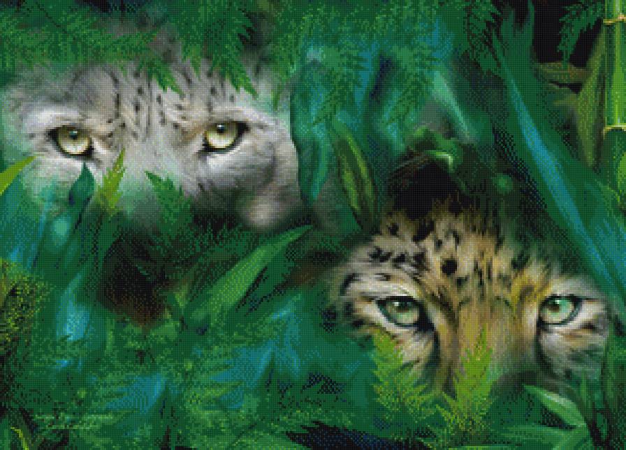 глаза хищника - дикие кошки, взгляд, хищник - предпросмотр