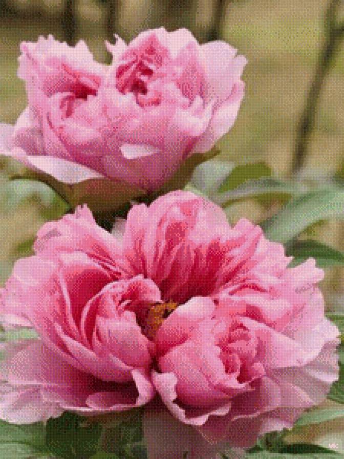 №961482 - предпросмотр