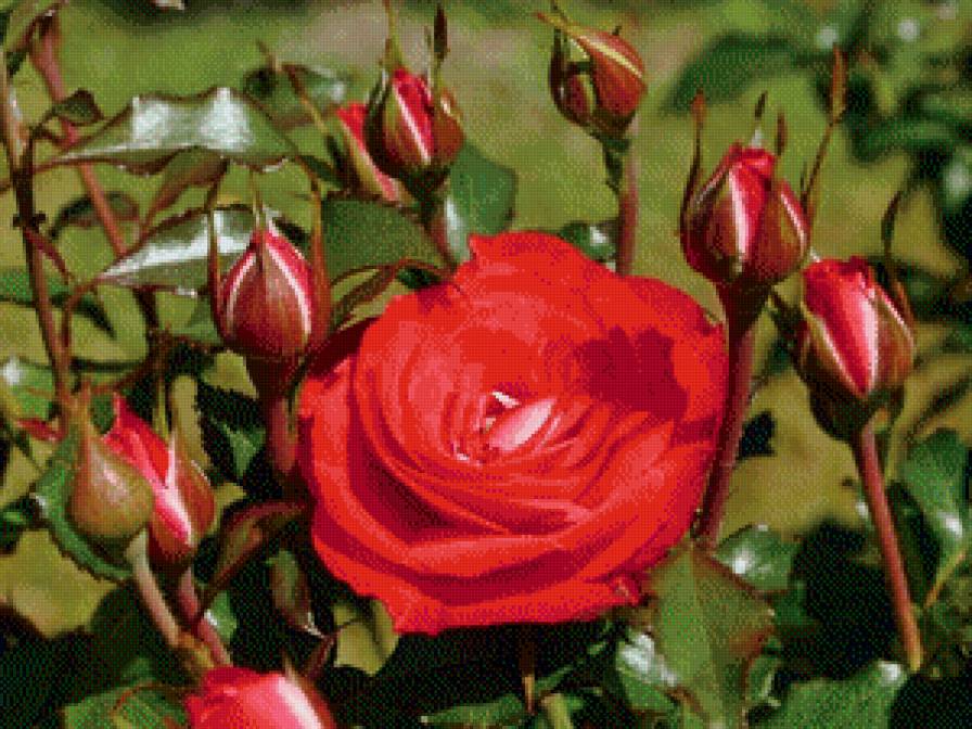 №961485 - предпросмотр