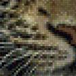Предпросмотр схемы вышивки «леопард на дереве» (№961852)