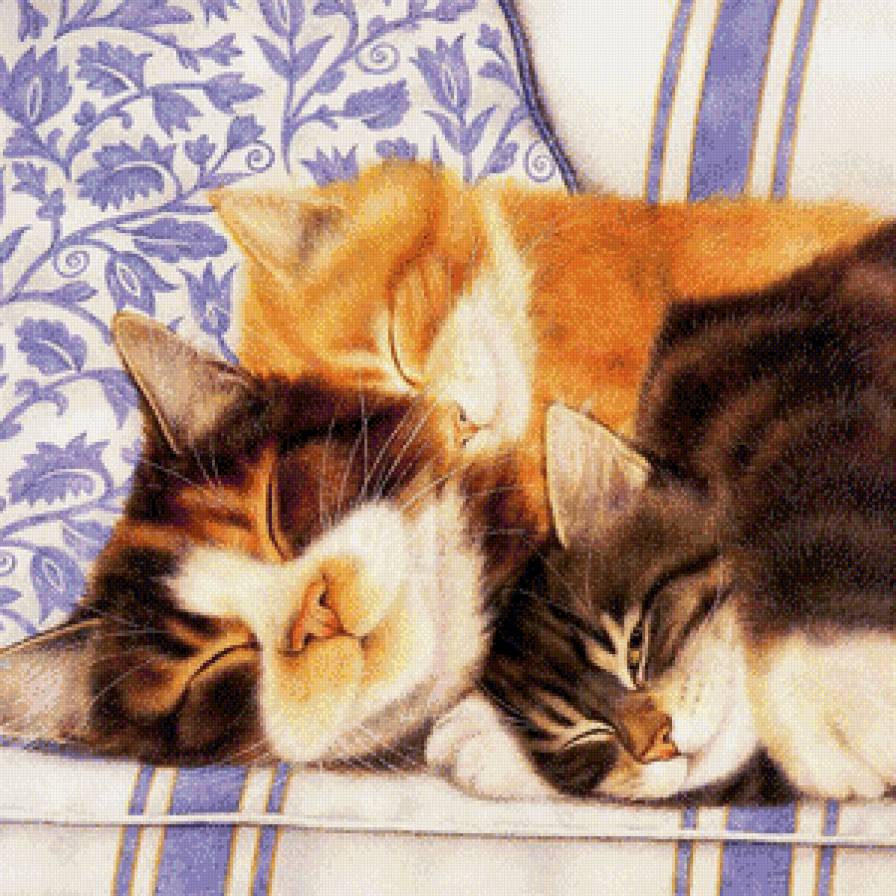 тихий час - кот, кошка - предпросмотр