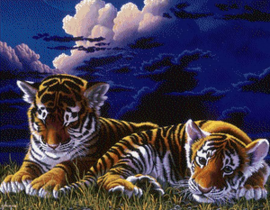 тигрята - кошки, животные - предпросмотр