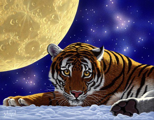 Тигр - животные, кошки - оригинал