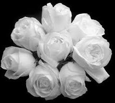 Схема вышивки «белые розы»