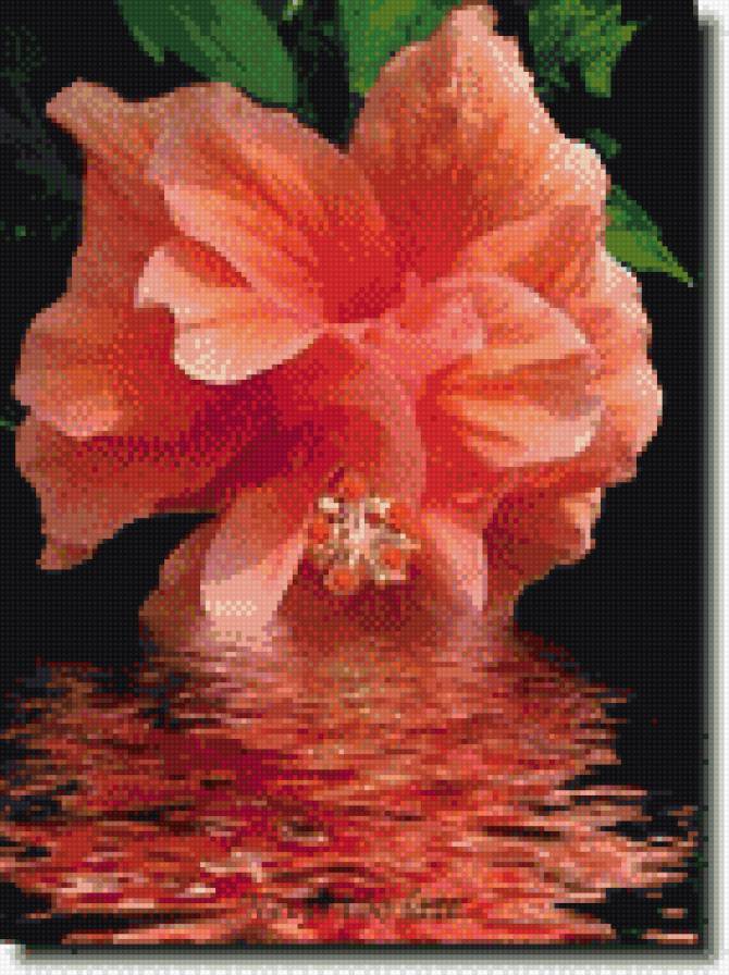 отражение - предпросмотр