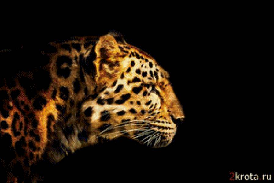 Гепард - африка, гепард, животные - предпросмотр