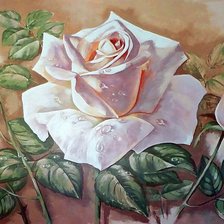 Схема вышивки «красота розы»
