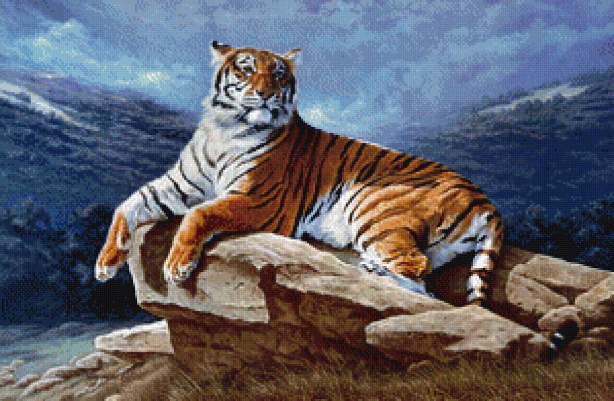 тигруля - хищник, тигр - предпросмотр