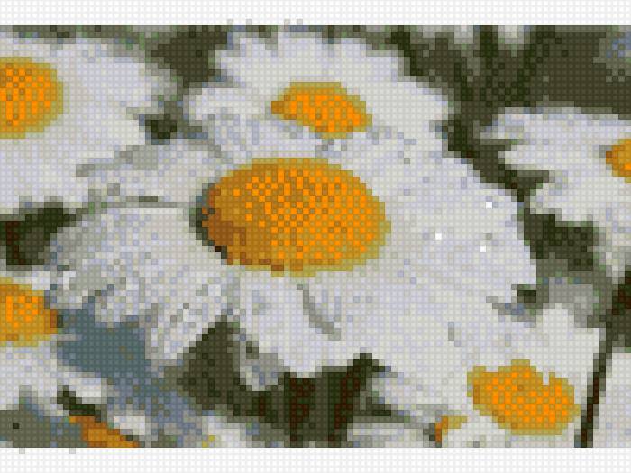 №962818 - предпросмотр