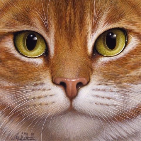 кошечка - оригинал