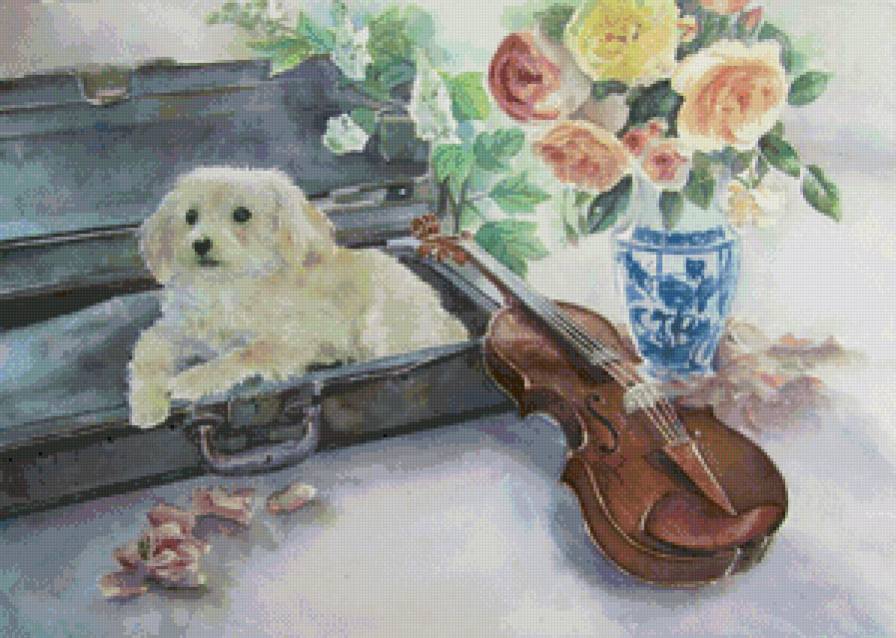 натюрморт с болонкой, скрипкой и розами - скрипка, собака, цветы, натюрморт, ваза, розы, музыка, болонка - предпросмотр