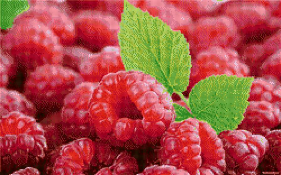 Малинка - ягоды, на кухню, малина - предпросмотр