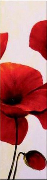 маки2 - оригинал