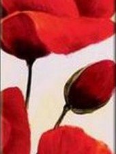 Схема вышивки «маки3»