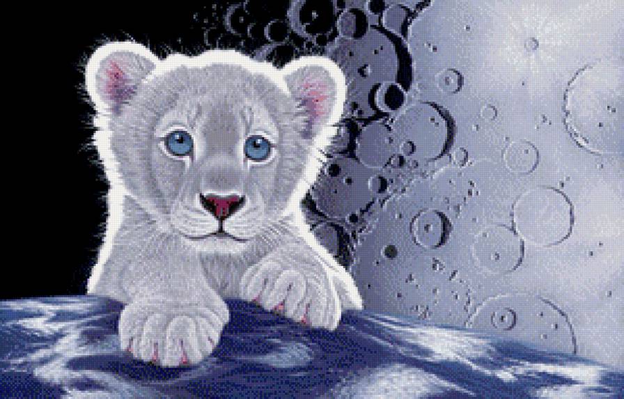 тигренок - кошки, животные - предпросмотр