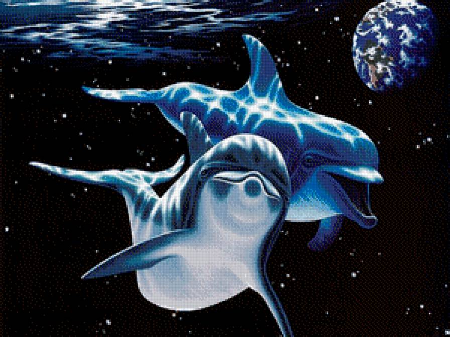 дельфины - предпросмотр