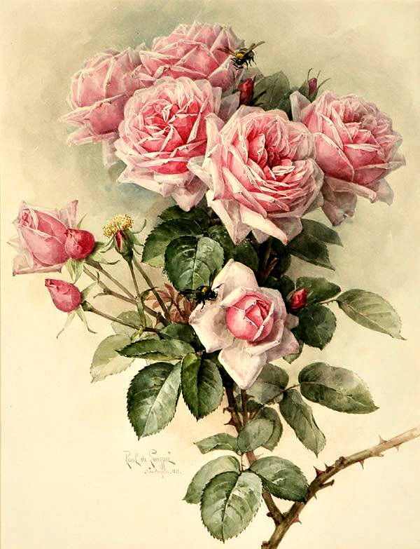 Серия "Цветы, букеты" - винтаж, розовые, нежные розы, пчелки - оригинал