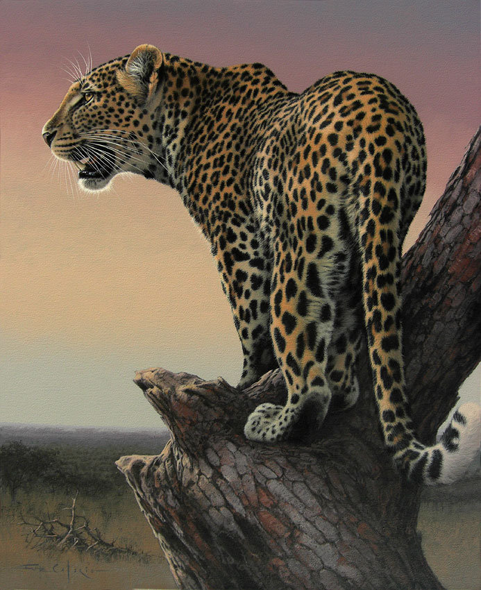 Серия "Дикая природа" - грациозная кошка, леопард - оригинал