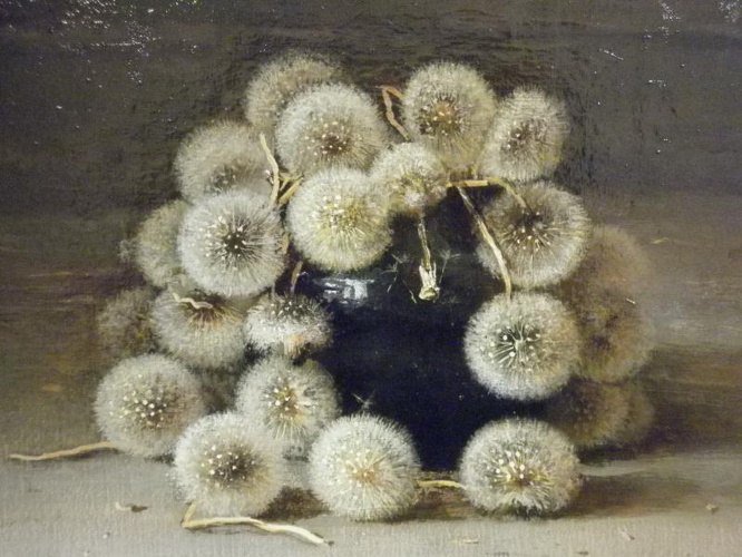 одуванчики - цветы - оригинал